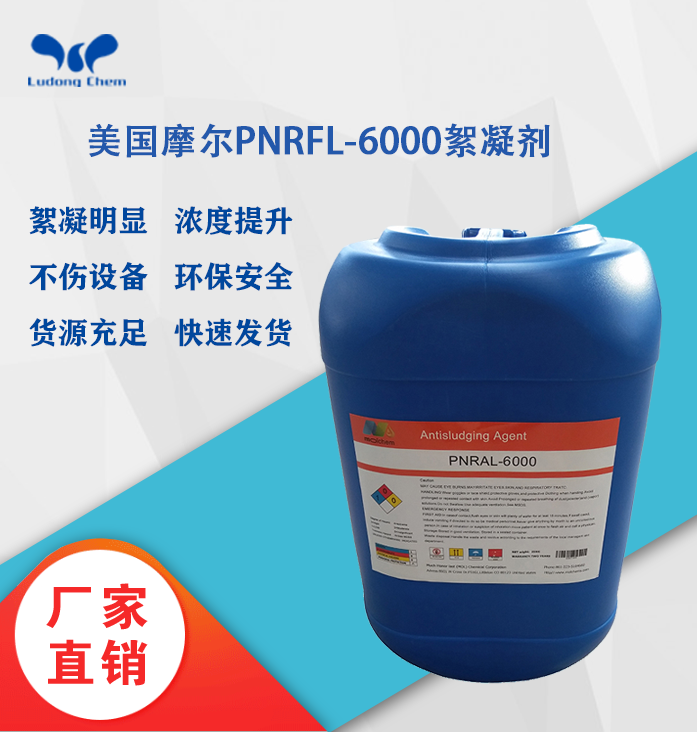 美國摩爾絮凝劑PNRFL-6000